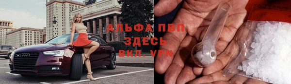 jwh Касимов